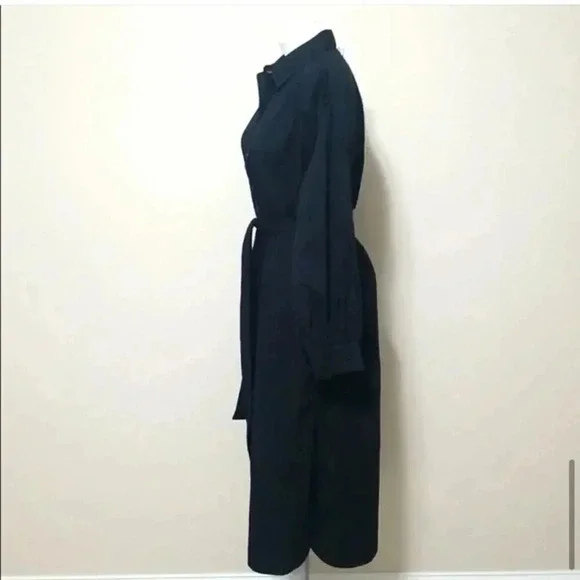 Banana Republic Belted Tencel Shirtdress - Picture 8 of 16